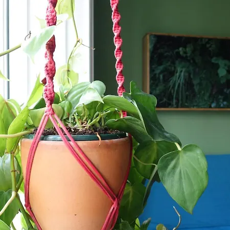 An Artist's Place In Lizbona