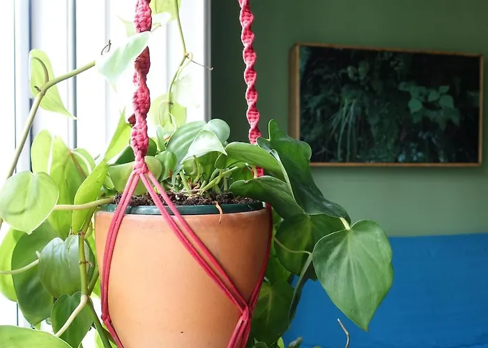 An Artist's Place In Lisboa